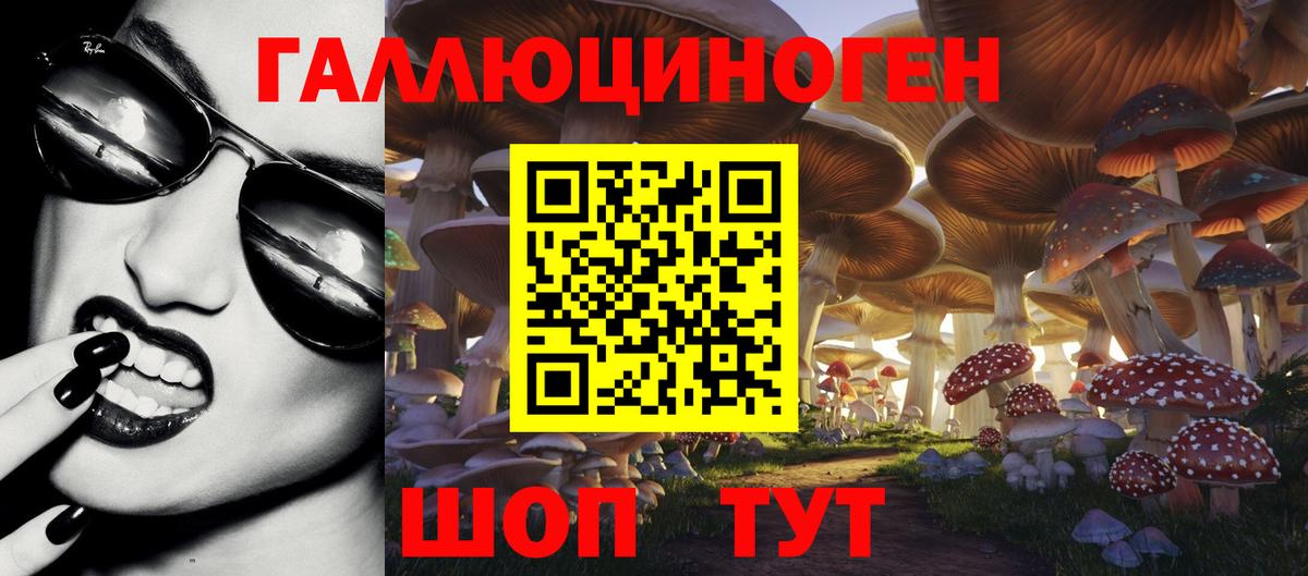 Псилоцибиновые грибы Psilocybine cubensis  Галлюциногенные грибы мухоморы  Вход с VPN  Михайловка 